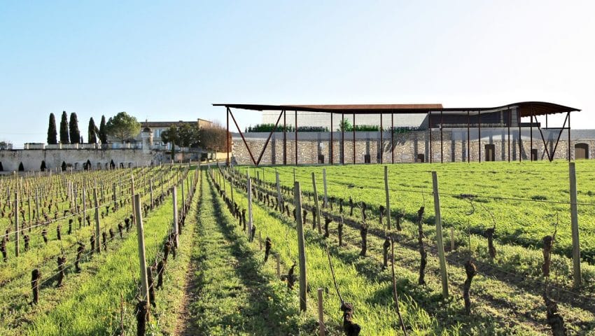 Projet N° 1 - Château Balestard la Tonnelle - Extension d’un chai viticole existant à Saint-Emilion