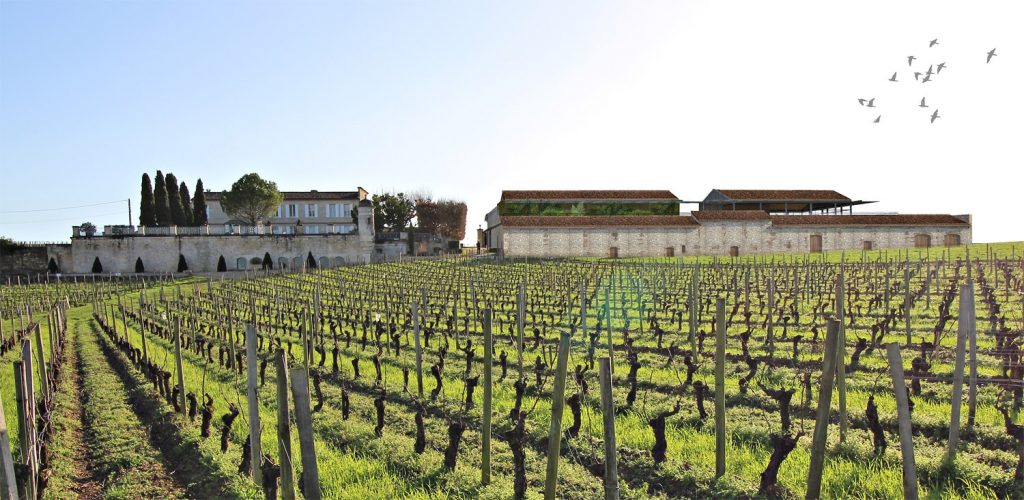 Projet N° 2 - Château Balestard la Tonnelle - Extension d’un chai viticole existant à Saint-Emilion
